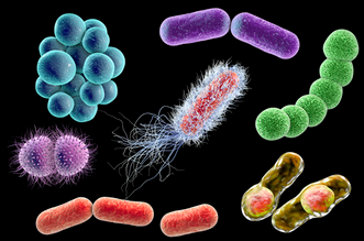 檢測細菌微生物的儀器都有哪些？