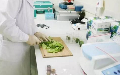 食品重金屬檢測儀，關(guān)注食品安全，防范重金屬危害